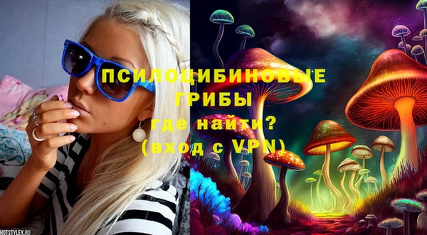 2c-b Липки