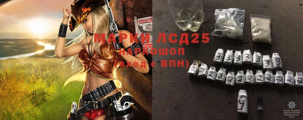 стаф Ладушкин