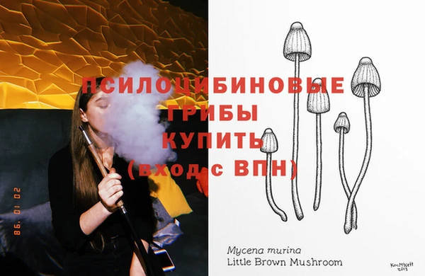 2c-b Липки