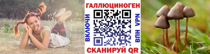 Псилоцибиновые грибы MAGIC MUSHROOMS  где можно купить   Сусуман 